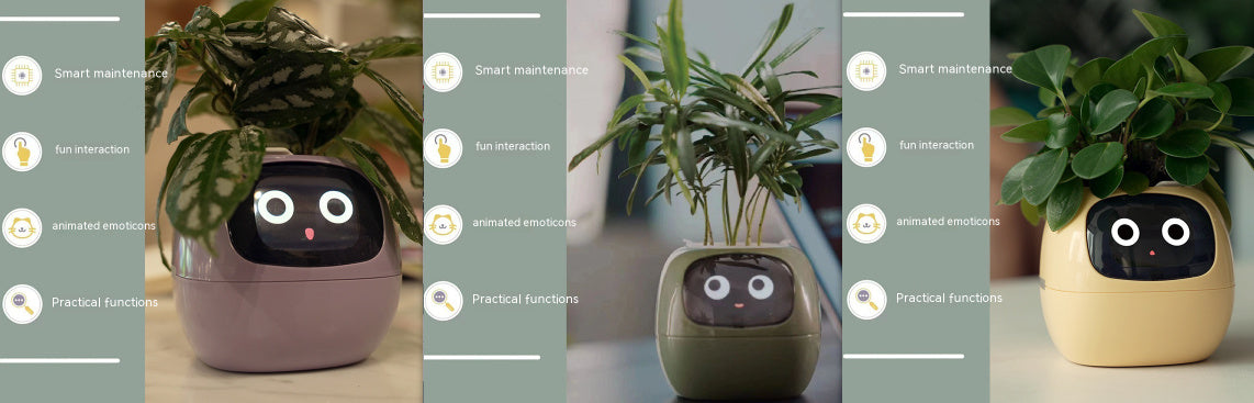 Smart Planter Endless Fun Over 49 Rich Expressions 7 Smart Sensors