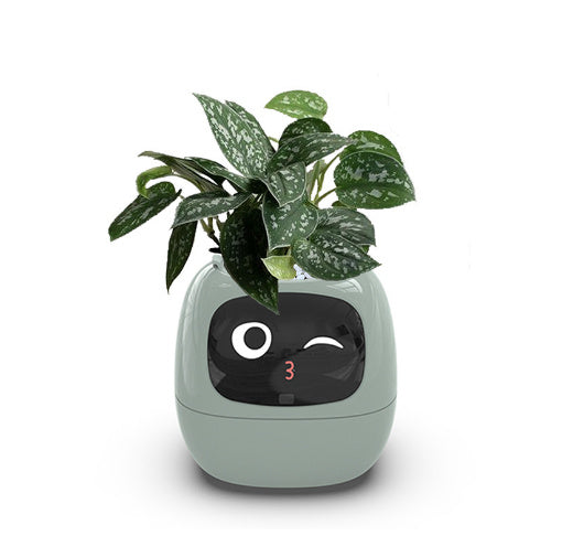 Smart Planter Endless Fun Over 49 Rich Expressions 7 Smart Sensors